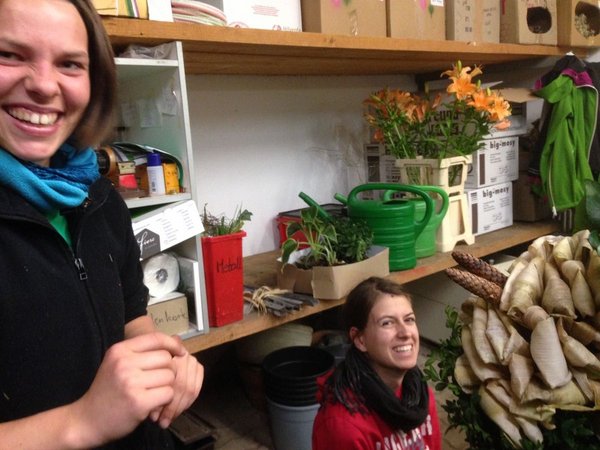 Erntedankkrone binden 2016